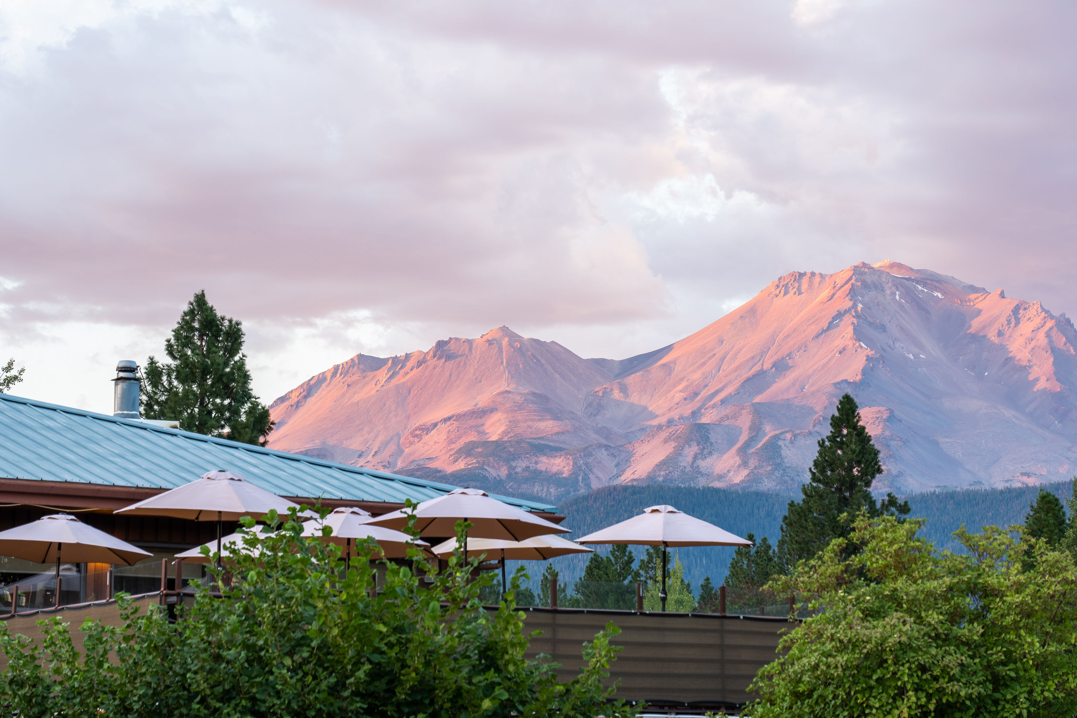 Dining - Mount Shasta Resort